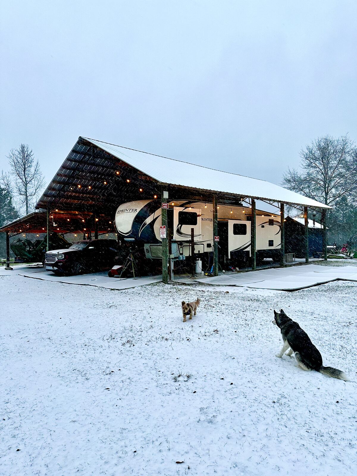 A rare North Florida snowfall covering the farm