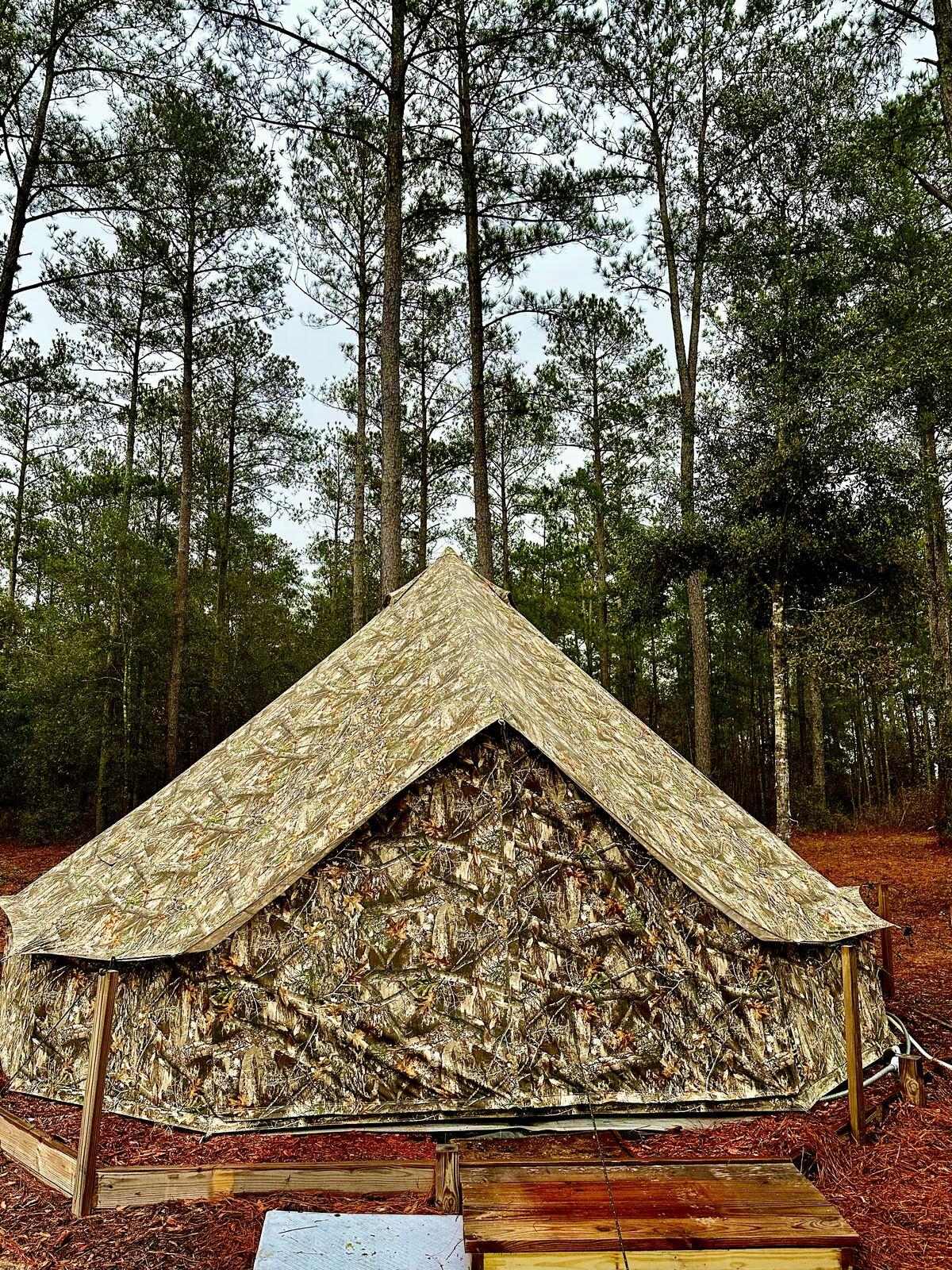 White Duck 20-foot glamping bell tent under the pines