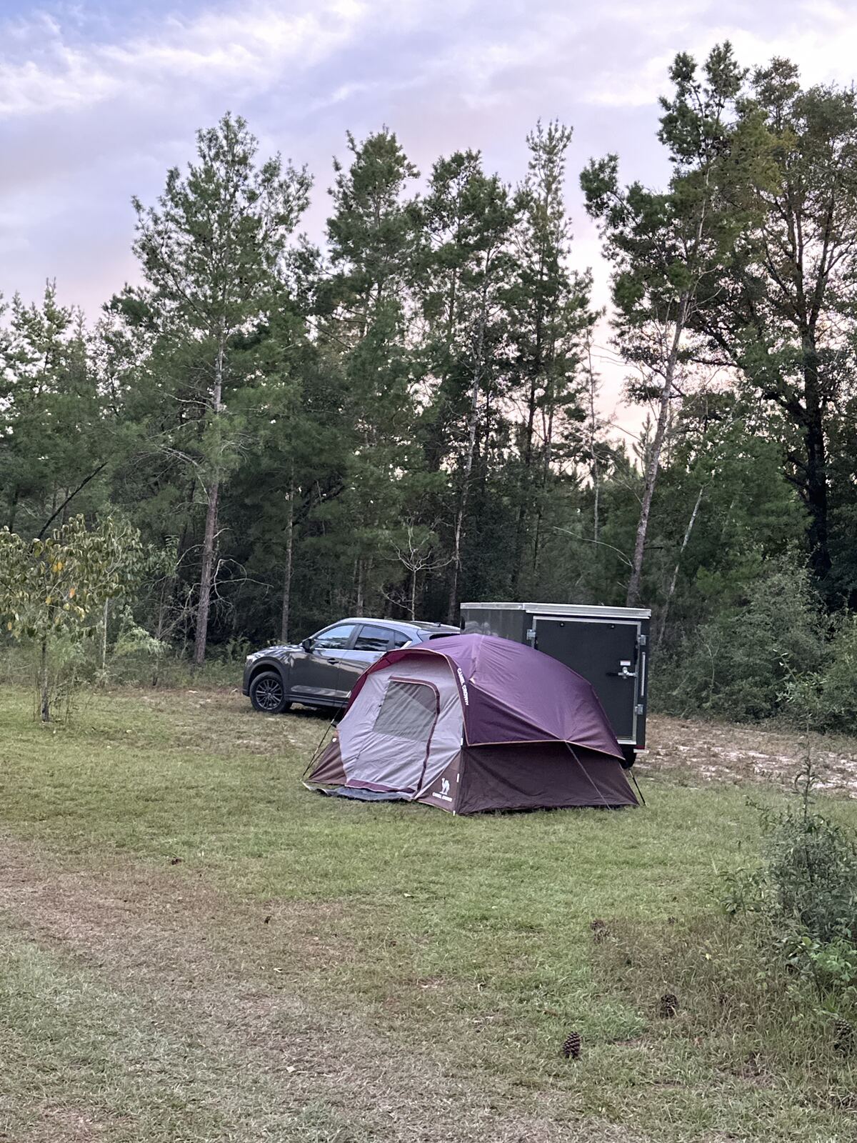 Tent pitched in an open grassy clearing at a primitive site